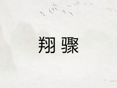 翔骤 翔骤