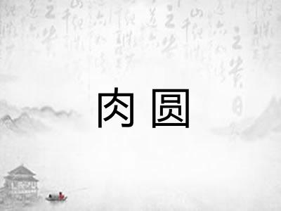肉圆 肉圆