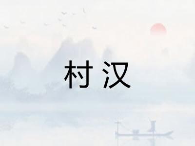 村汉 村汉