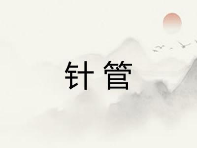 针管 针管