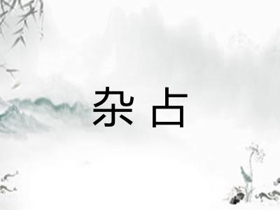 杂占 杂占