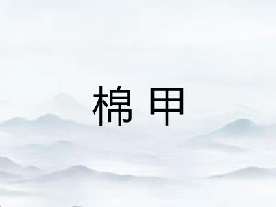 棉甲 棉甲