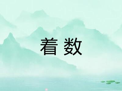 着数 着数
