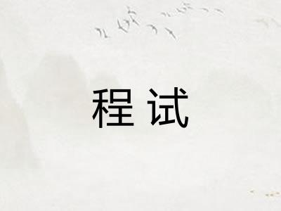 程试 程试