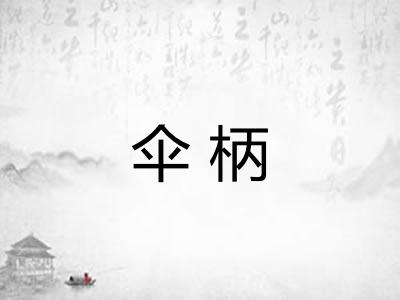 伞柄 伞柄