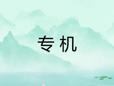 专机 专机