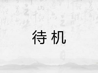 待机 待机