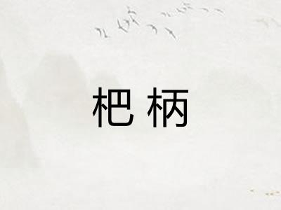杷柄 杷柄