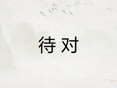 待对 待对