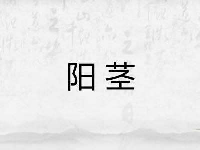 阳茎
