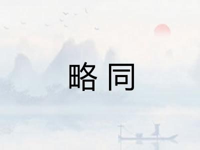略同 略同