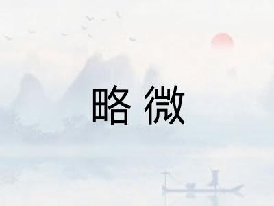 略微 略微