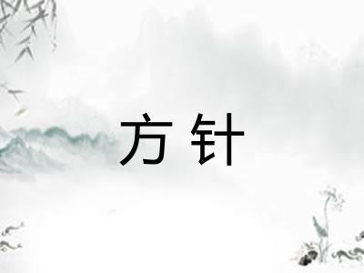 方针 方针