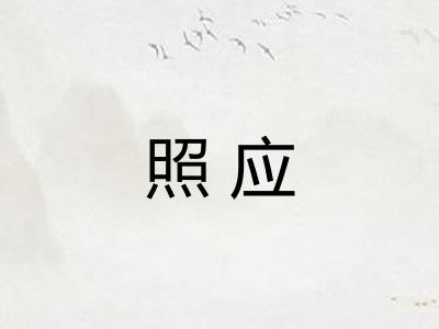 照应 照应