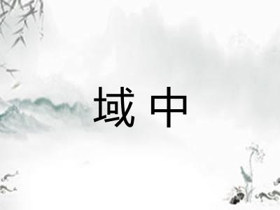 域中 域中