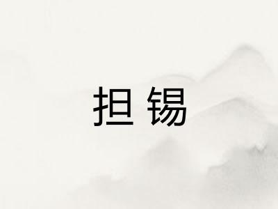 担锡 担锡