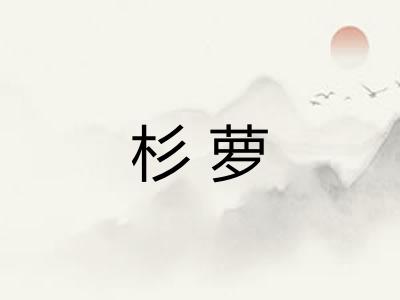 杉萝 杉萝