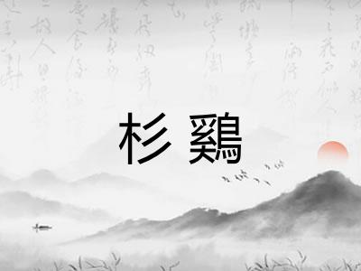杉鷄 杉鷄