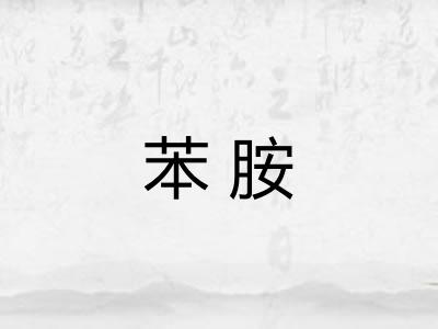 苯胺 苯胺