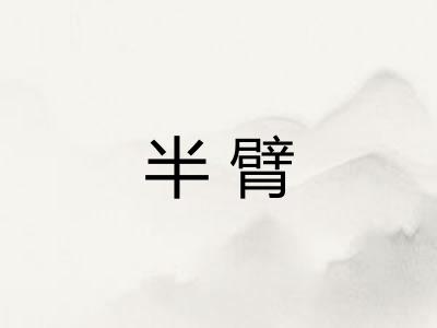 半臂 半臂