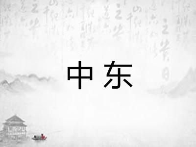 中东 中东