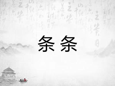 条条 条条