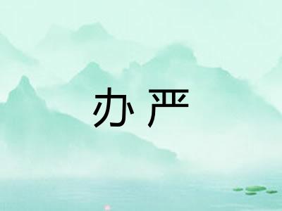 办严 办严