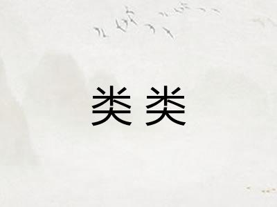 类类
