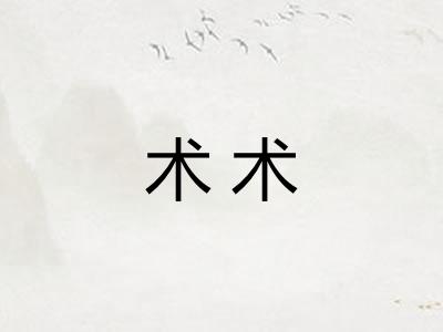 术术 术术