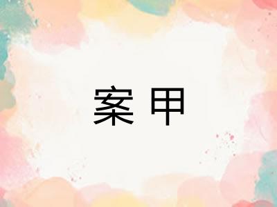 案甲 案甲