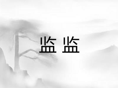 监监 监监