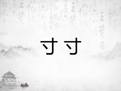 寸寸