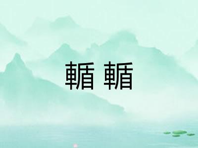 輴輴 輴輴