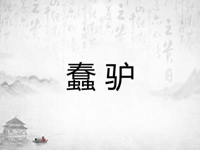 蠢驴 蠢驴