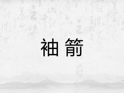 袖箭 袖箭