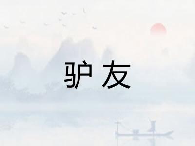 驴友 驴友
