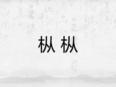 枞枞 枞枞