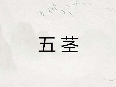 五茎 五茎