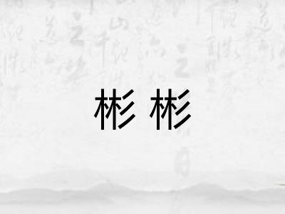 彬彬 彬彬