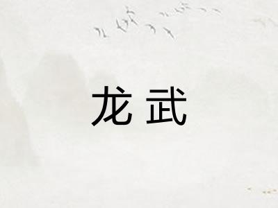 龙武