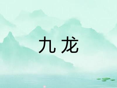 九龙 九龙