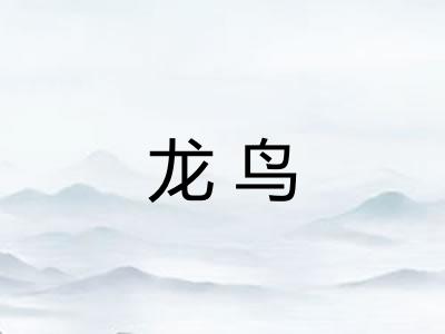 龙鸟 龙鸟