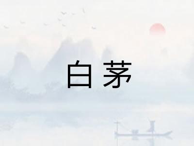 白茅 白茅