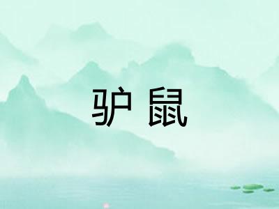 驴鼠 驴鼠