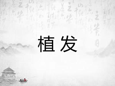 植发 植发