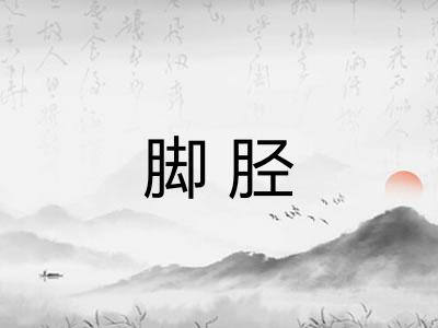 脚胫 脚胫