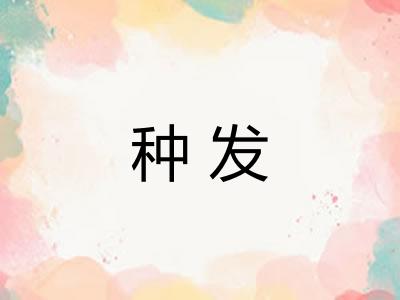 种发 种发