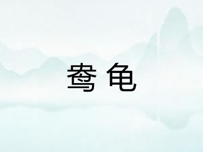 鸯龟 鸯龟