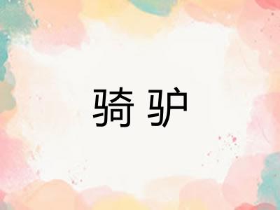 骑驴 骑驴