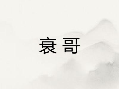 衰哥 衰哥